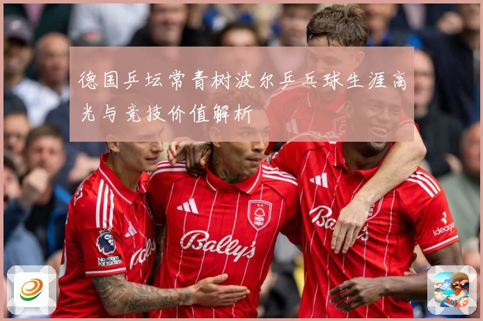 德国乒坛常青树波尔乒乓球生涯高光与竞技价值解析
