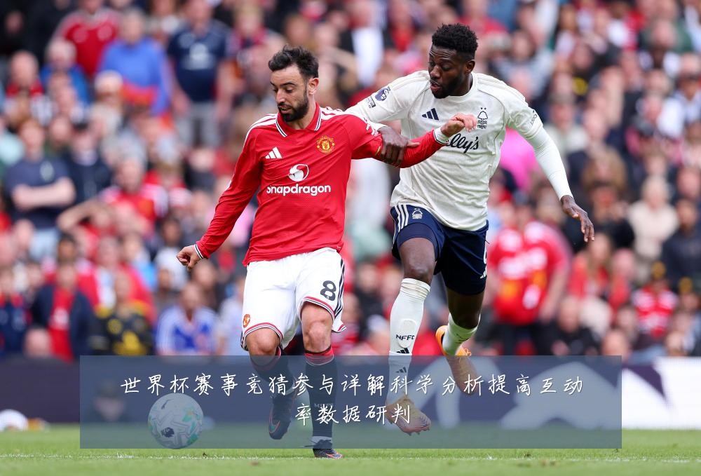 世界杯赛事竞猜参与详解科学分析提高互动率数据研判